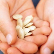 A girl holding seeds in her hand.