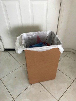 Recycled Boxes as a Trash Can - plastic bag inside cardboard box being used as a trash can