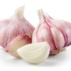Bulbs and cloves of garlic on a white background.