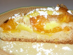 A slice of apricot coffeecake.