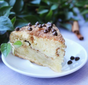A plate of chocolate chip coffee cake.