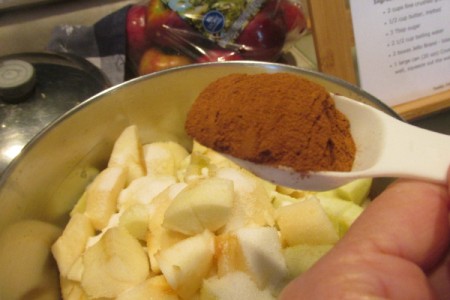 Homemade Chunky Applesauce