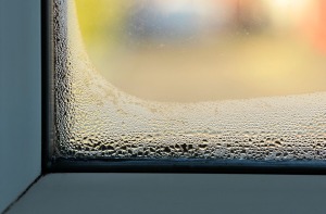 A window with water condensation.
