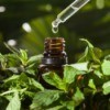 A bottle of peppermint oil surrounded by fresh mint.