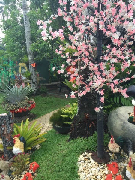 Many brightly colored flowers at Manuel Resort, Philippines