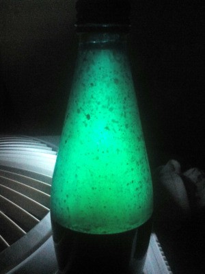 DIY Lava Lamp - lamp appearing green with bubbles inside bottle