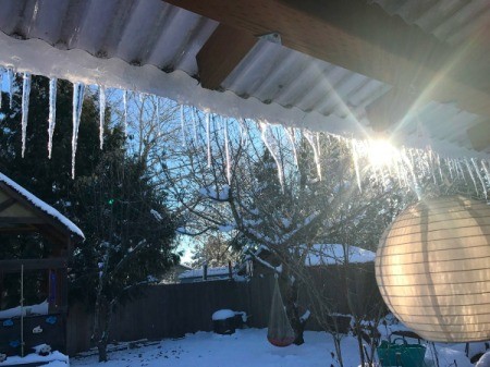 Icicles coming off a corrugated roof (Hillsboro, OR)