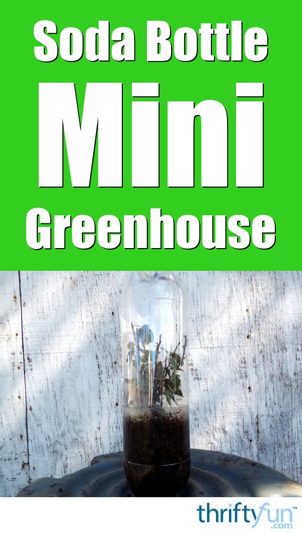 How to Make a Mini Greenhouse from a Soda Bottle ThriftyFun