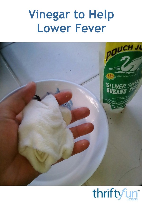Vinegar to Help Lower Fever ThriftyFun