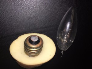 A broken light bulb inside a cut potato.
