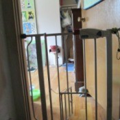 A pet gate with a small cat door.