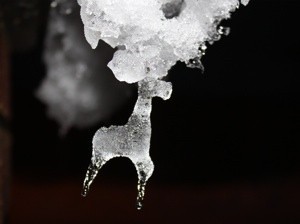 Animal like shaped icicle.