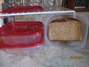 A reusable plastic container with a sandwich stored inside.