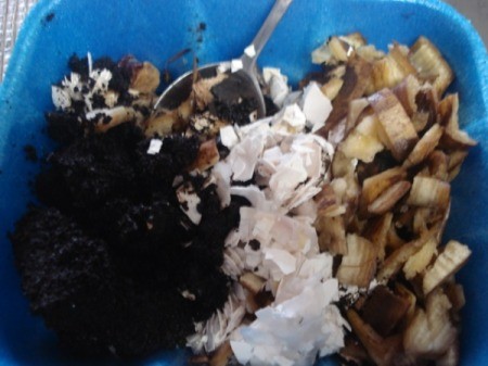 Homemade Fertilizer from Kitchen Scraps - bowl with shells, peels, and grounds