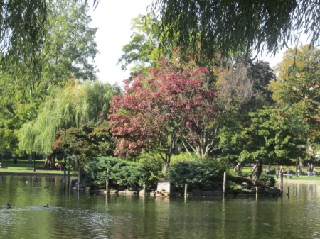 The public gardens in Boston.