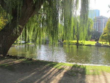 The public gardens in Boston.