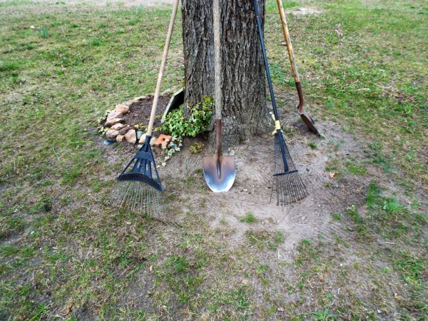 Start Your Gardening Early