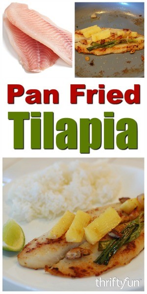 Pan Fried Tilapia Recipe | ThriftyFun