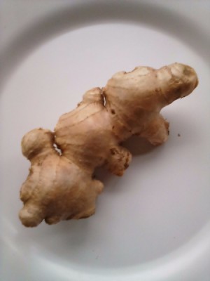 A garlic root before being peeled.