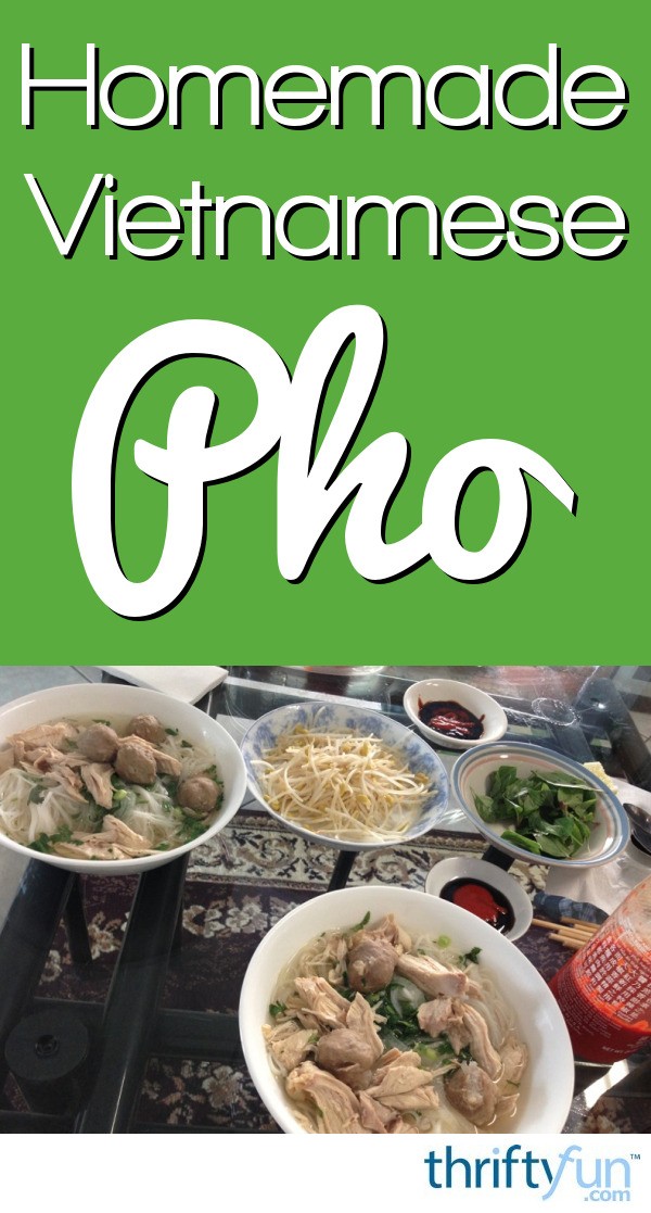 Homemade Vietnamese Pho | ThriftyFun
