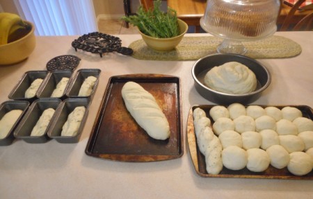Different shaped bread and rolls, ready to bake.