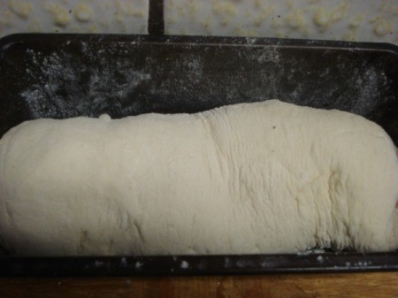 dough rolled in pan