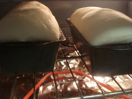 baking loaves in oven