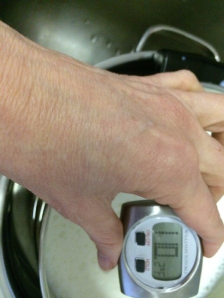hand holding thermometer in warmed milk