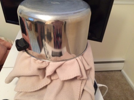 yogurt on fleece blanket covered with large pan