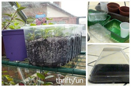 Reuse Plastic Containers for Seedlings