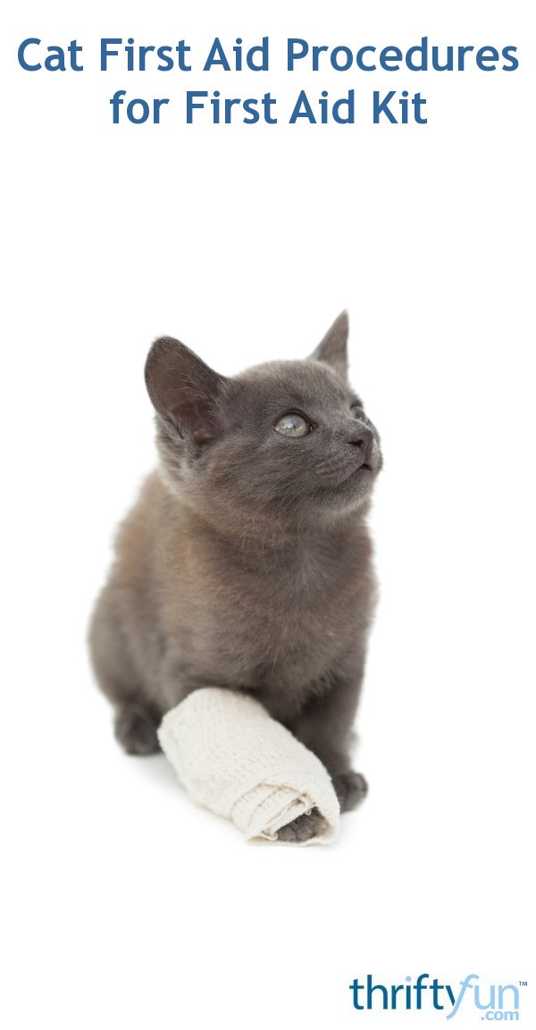 Cat First Aid Procedures for First Aid Kit ThriftyFun