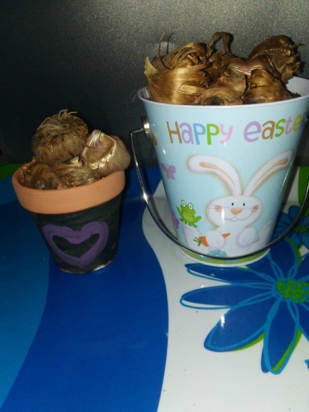 Gardener's Easter Basket - two flower pots filled with bulbs