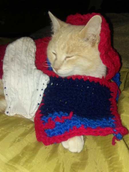 Bailey Loves Dressing Up in Crochet Squares