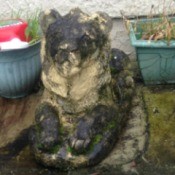 Value of Outdoor Lion Figurine - discolored lion figurine of unknown material