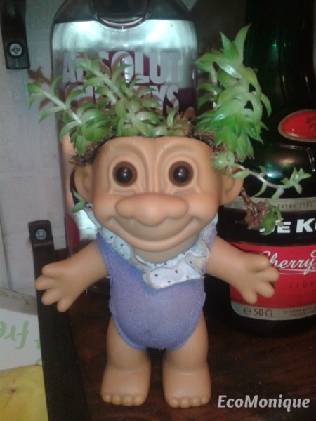 A troll toy with a succulent growing out of the head.