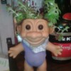 A troll toy with a succulent growing out of the head.