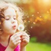 A girl blowing dandelion seeds in the sun.