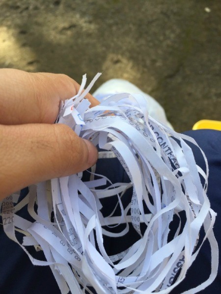 Shredded Paper Nest - shredded paper