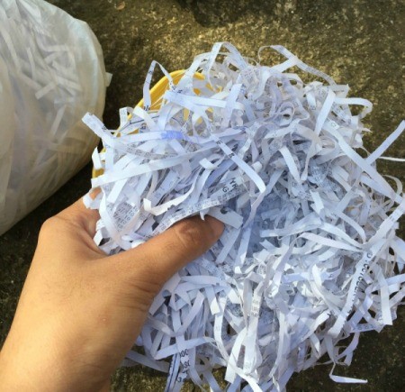 Shredded Paper Nest - shredded paper