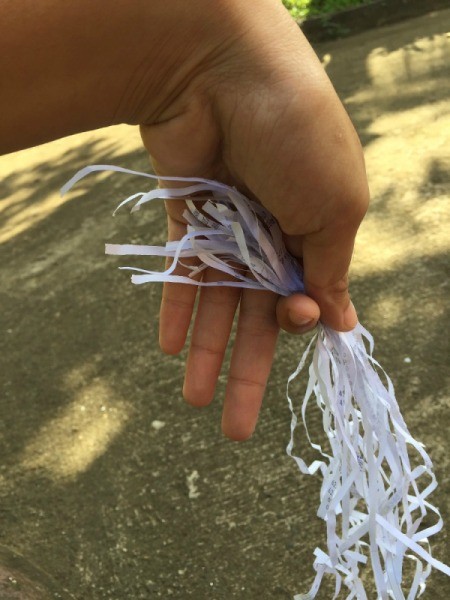 Shredded Paper Nest - shredded paper