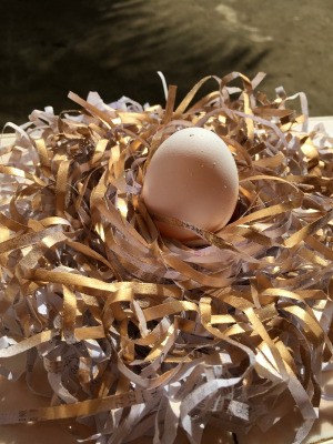 Shredded Paper Nest - egg sitting in the center of the nest. Some of the shreds are painted gold.