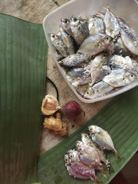 small fish and banana leaves