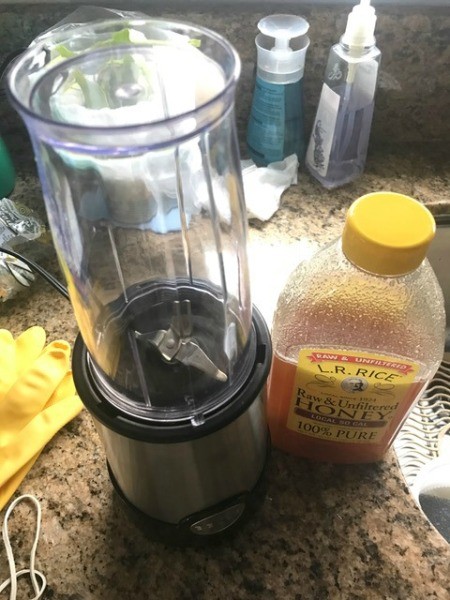 Blender and honey on counter