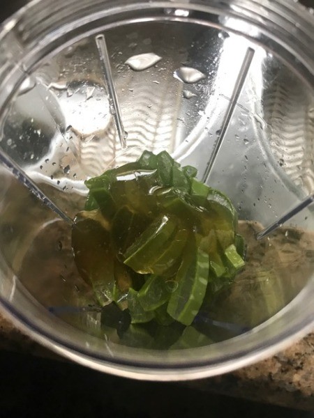 cut aloe in blender
