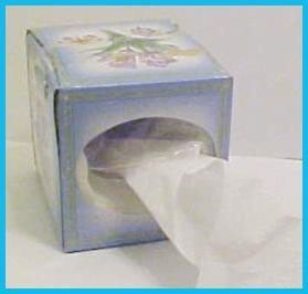 Put Toilet Paper in a Tissue Box