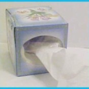 Put Toilet Paper in a Tissue Box