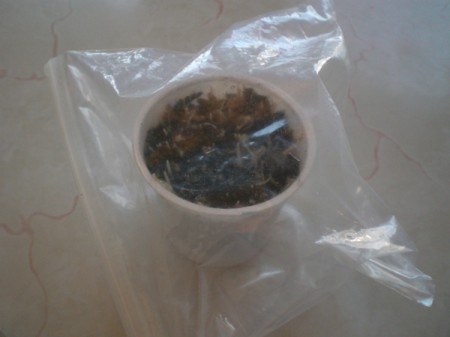 Grow Grass Hair for Project or Pets - place inside a plastic bag and seal