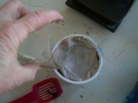 Grow Grass Hair for Project or Pets - add a little more water