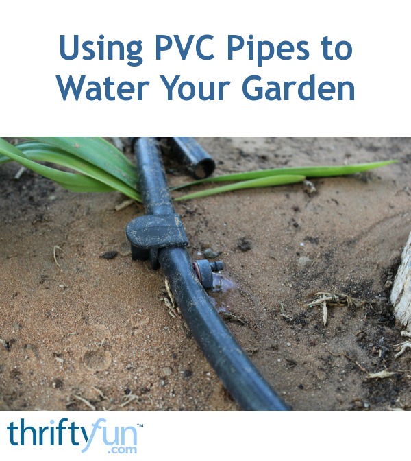 Using PVC Pipes to Water Your Garden ThriftyFun