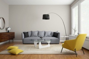 Modern scandinavian living room with grey sofa